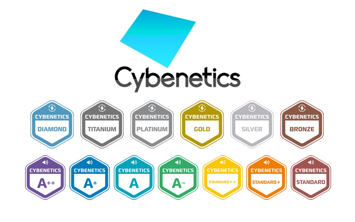 Уровни оценки по программе Cybenetic